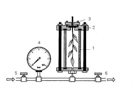 The pressure chamber – plant stress