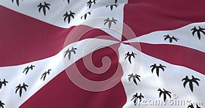 Loudoun County Flag, State of Virginia, United States of America - Loop Stock Footage - Video of ...