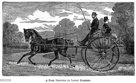 Trotting Horse Pulling Dogcart Stock Illustration - Download Image Now - 1880-1889, 19th Century ...