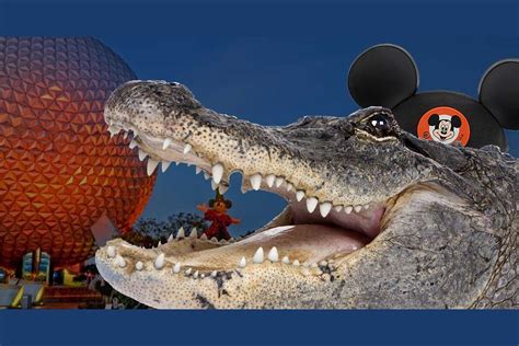 Walt Disney Alligator Attack: A Deep Dive Into The Incident And Its Impact