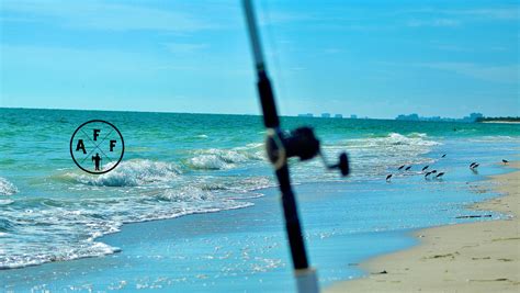 Best Surf Fishing Lures In 2024 | Lures For Surf Fishing