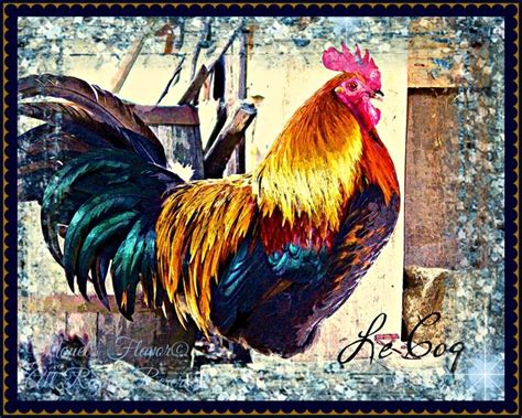 French Rooster Shabby Chic Digital Art | Digital art, Art, Digital