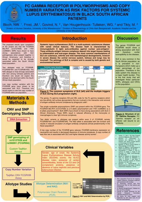 (PDF) FC Gamma Receptor III Polymorphisms And Copy Number Variation As Risk Factors For Systemic ...