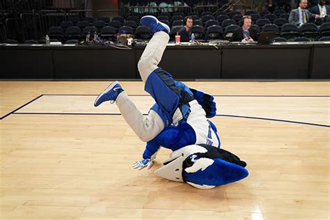 The evolution of the Billy Bluejay mascot costume | University ...