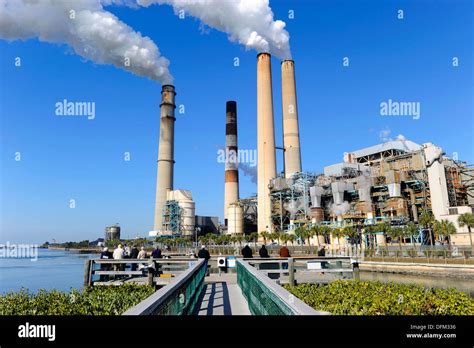 TECO Tampa Electric Company Manatee Viewing Center Apollo Beach Florida Stock Photo - Alamy