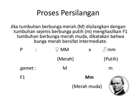 Persilangan monohibrid