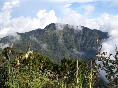 Mount-Dulang-Dulang - Gamintraveler