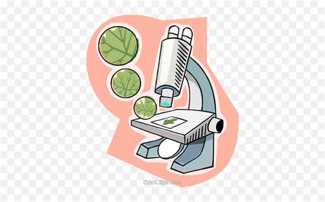 Microscope Biology Royalty Free Vector - Plant With Microscope Cartoon ...