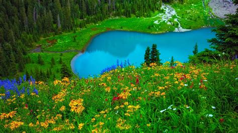 Landscape With Mountain, Lake And Flowers Wallpapers - Wallpaper Cave