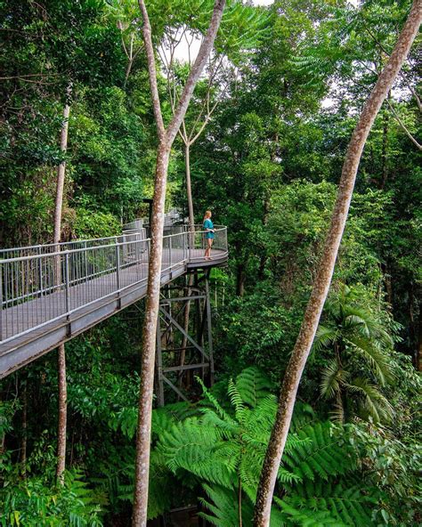 Exploring Mamu Tropical Skywalk - Sarah Adventuring | Travel Blog