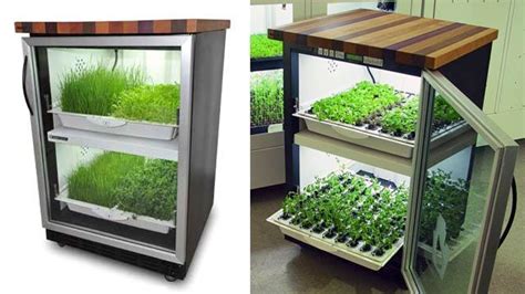 17 Best images about The Urban Cultivator on Pinterest | Grow your own, Organic herbs and Turnip ...