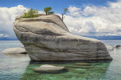 Bonsai Rock Close Up Photograph by Marc Crumpler | Fine Art America