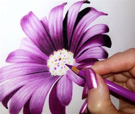 How to Draw Flowers by Jasmina Susak | Color pencil art, Color pencil ...