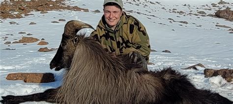 TROPHY HUNTING - HIMALAYAN BULL TAHR - Top Of The Lake Guiding