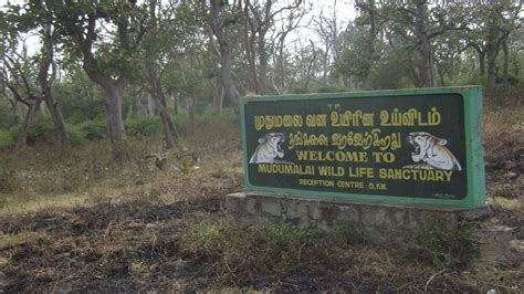 Mudumalai National Park, Mudumalai Wildlife Sanctuary