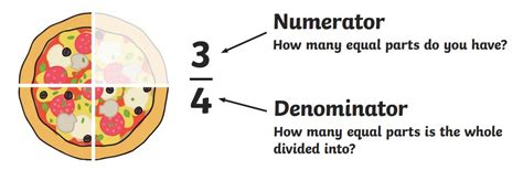 32 Numerator And Denominator Worksheet - support worksheet