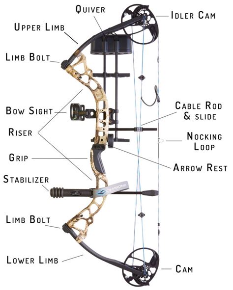 How Does A Compound Bow Work? | ArcheryStreet.com