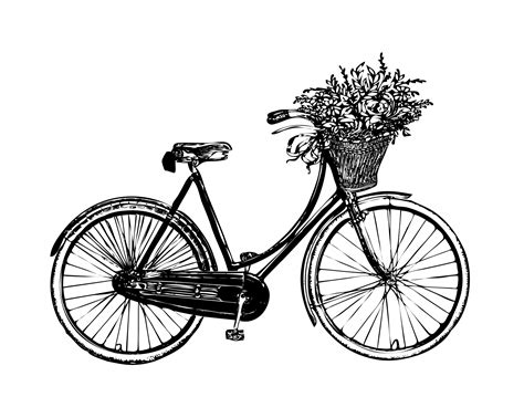 Bicycle Flowers Vintage Clipart Free Stock Photo - Public Domain Pictures