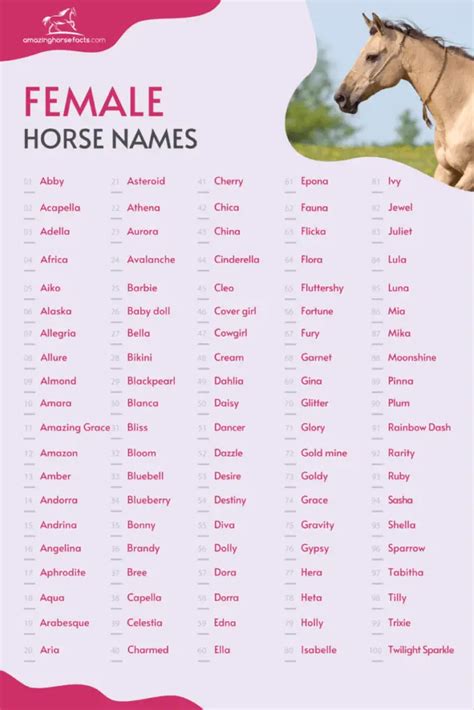 655+ Female Horse Names (Beautiful Mare Or Filly Ideas)