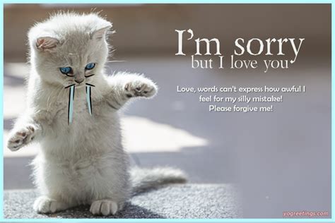 I Am Sorry Card For Lover With Cute Cat