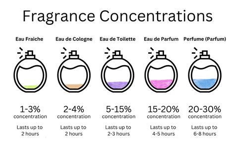 Cologne vs Perfume and The Difference Between All Types of Fragrances ...