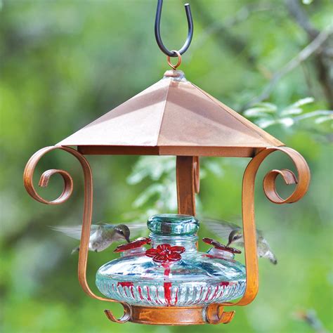 Hummingbird Feeder Tips - Yard Envy