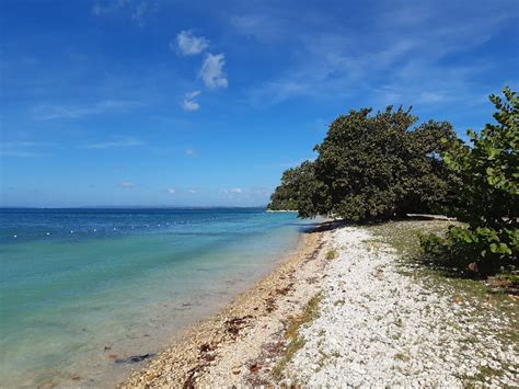 Bluefields Beach, Jamaica Beach Guide | NEPA