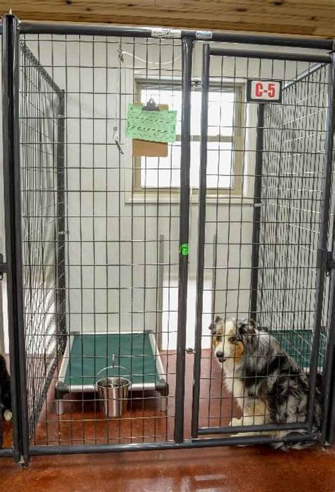 How to pick a pet boarding kennel, an insider’s guide – Tin Woof Inn