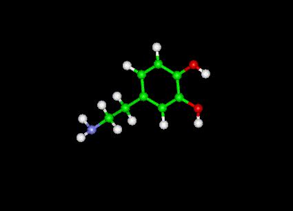 The Dopamine Molecule