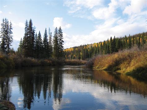 BC Hunting Areas in Central and Northern British Columbia