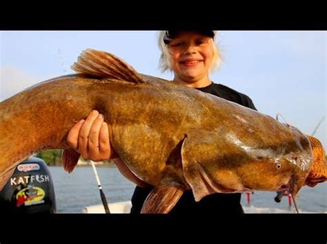 FLATHEAD CATFISH During the Day with Cut Bait - YouTube