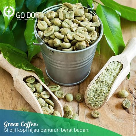 Green Coffee, Si Biji Kopi Hijau Penurun Berat Badan | KASKUS