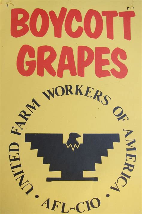 Boycott grapes, UFW | Cultura mexicana, Mexicano, Cultura