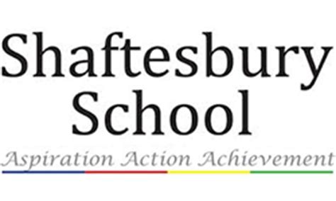 Shaftesbury School Celebrates Record A Level Results! - SAST - Sherborne Area Schools' Trust