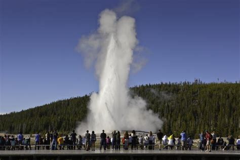 Grand Canyon of the Yellowstone Reviews | U.S. News Travel