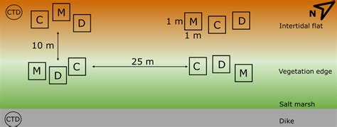 The experimental design of the field experiment. Two of the ten ...