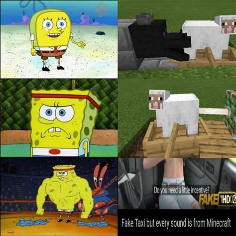 Minecraft seggs meme : r/dankmemes