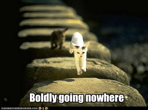 An in a hurry - Lolcats - lol | cat memes | funny cats | funny cat ...