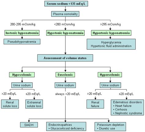 hyponatremia | Hyponatremia, Doctor of nursing practice, Electrolytes imbalance