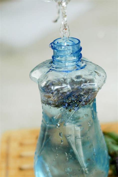 How to Make a Lavender Insect Repellent | Lavender insect repellent, Natural bug repellent ...