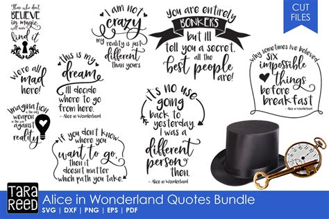 Alice in Wonderland Quotes Bundle (80883) | Cut Files | Design Bundles