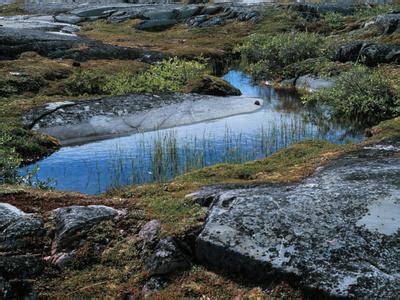 Hudson Bay - Arctic Lowlands - Canadian Landform Region's