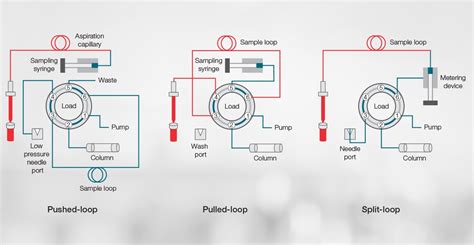 How HPLC Autosamplers Work | Thermo Fisher Scientific - US