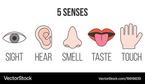 5 Senses Svg