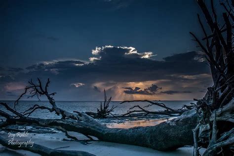 Boneyard Beach, Big Talbot Island, Jacksonville. Photo by Joy Ruble | Outdoor, Photo, Island