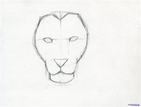 Drawing On Creativity in 2020 | Sketches, Lion sketch, Easy drawings