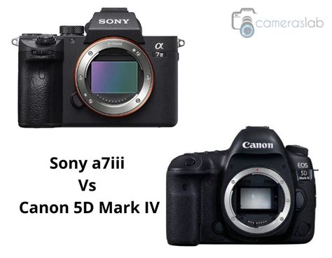 Sony a7iii vs Canon 5D Mark IV - Know why Sony a7iii is Better!