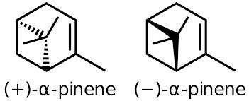 alpha-pinene at Best Price in Roorkee | GREEN PLANT INDUSTRIES