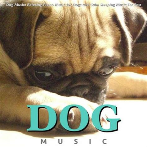 Stream Fireheart Music, Inc | Listen to Dog Music: Relaxing Piano Music For Dogs and Calm ...