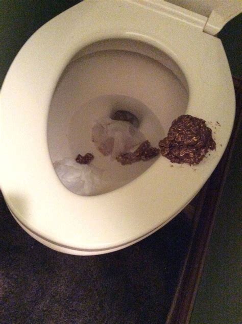 Fake poop prank for April Fools! Ingredients: Oats (lots), A1 sauce, peanut butter, chocolate ...